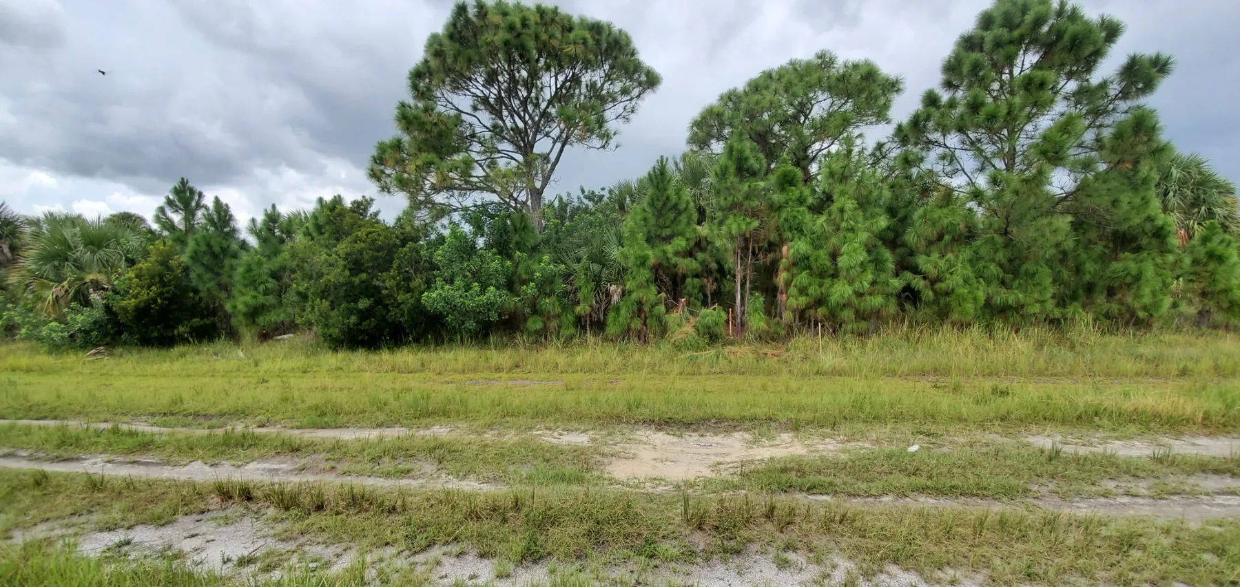 Palm Bay construction photo 7