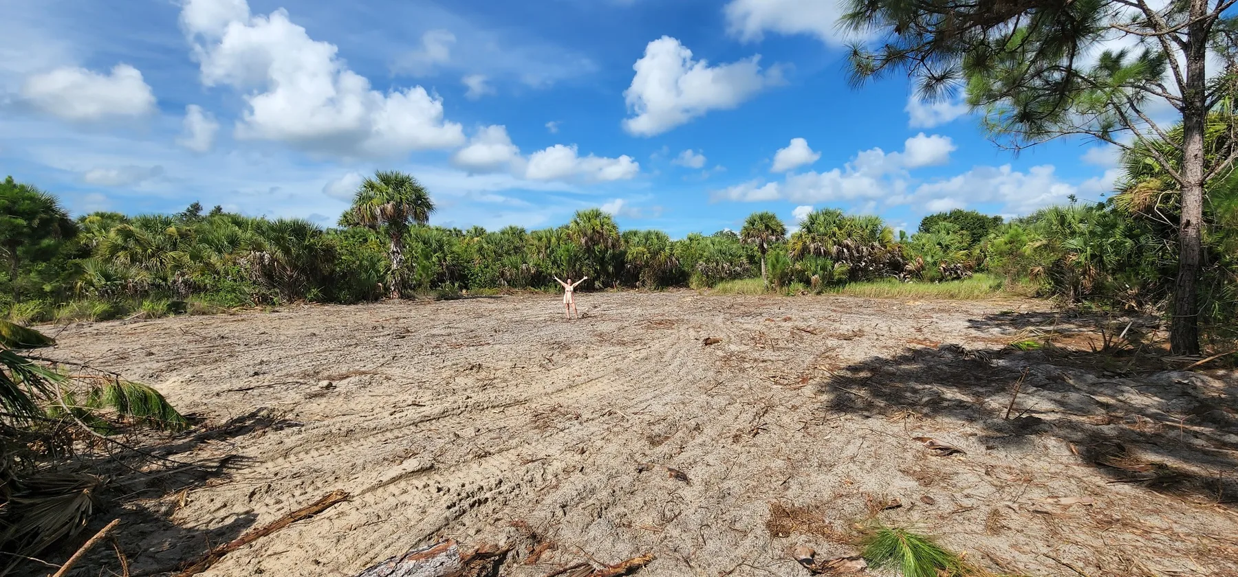 Palm Bay construction photo 8